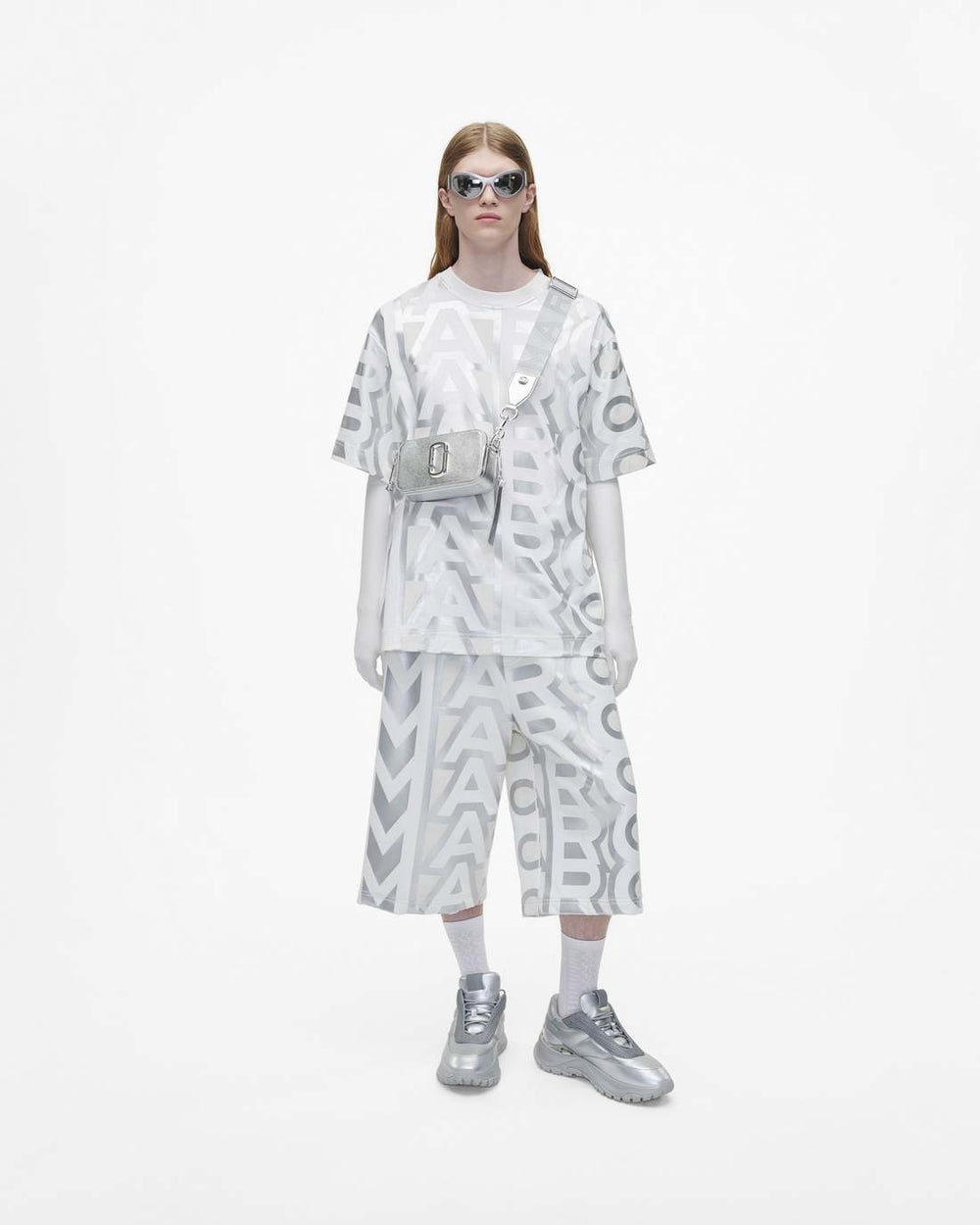 The Metallic Snapshot Dtm Silver