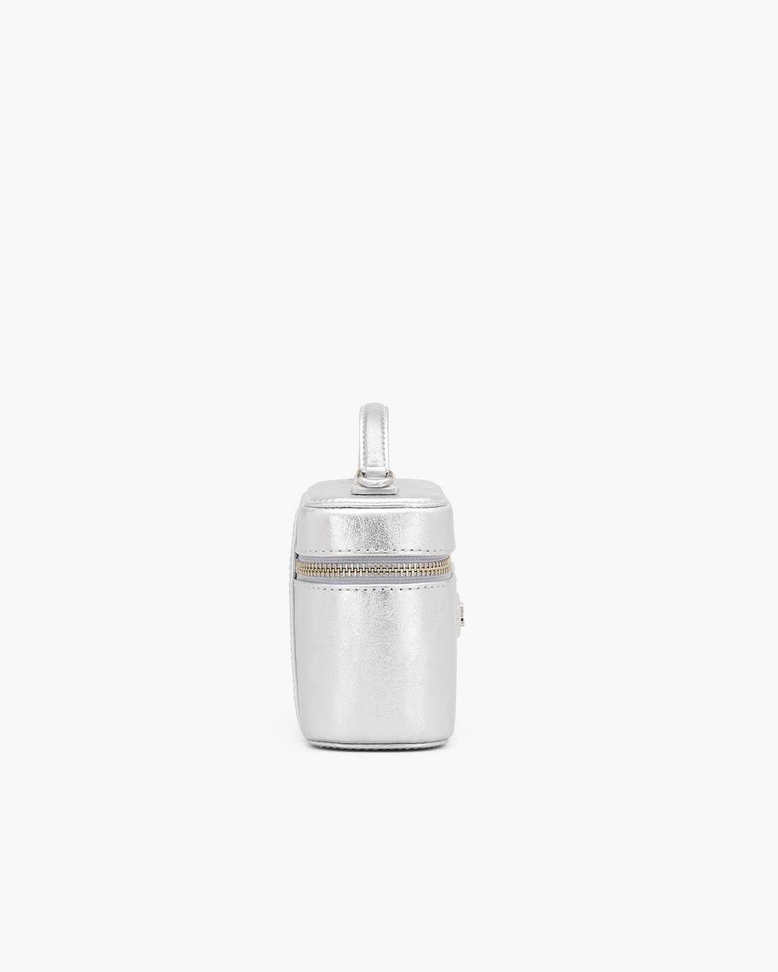 The Metallic Everyday Vanity Bag Silver