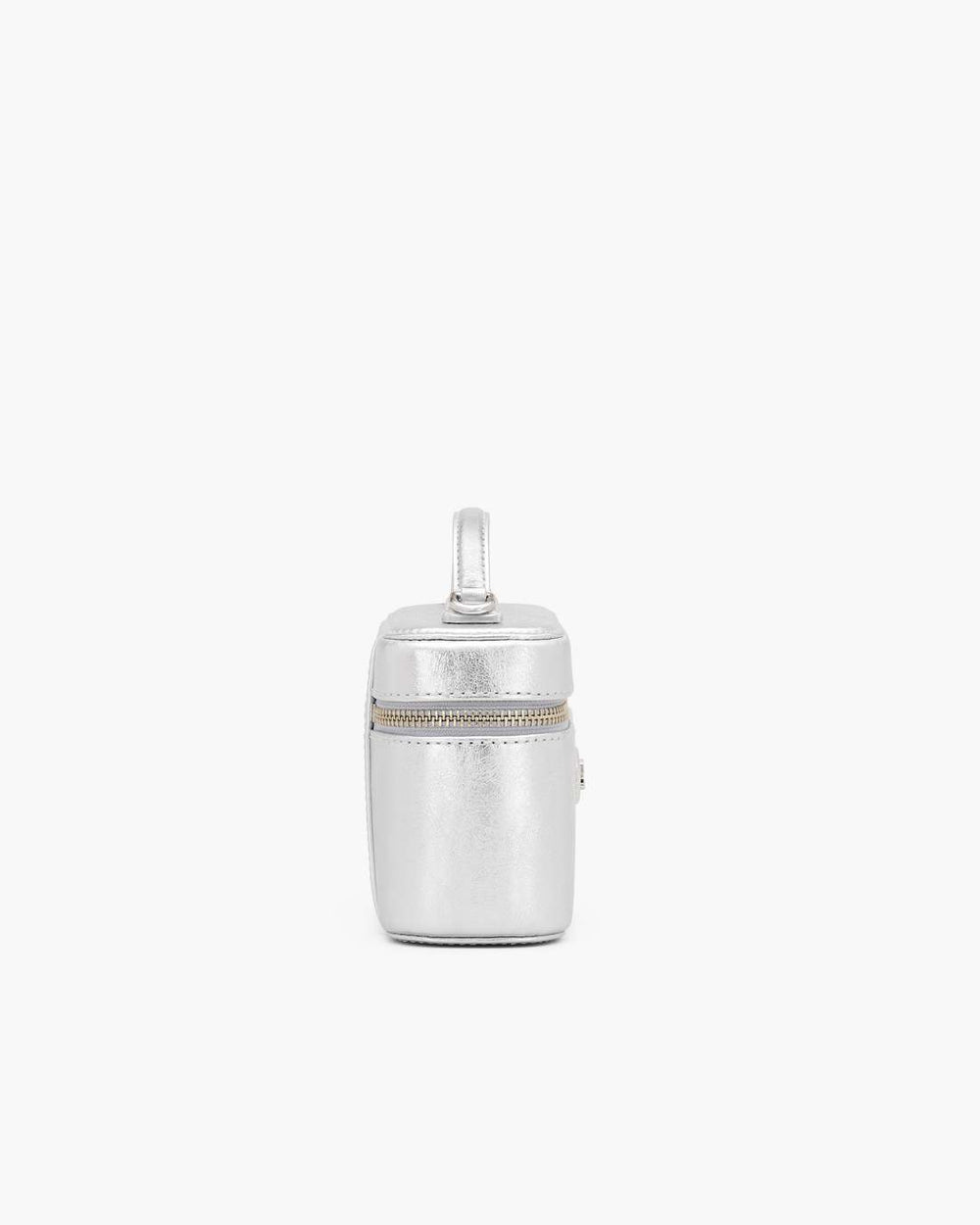 The Metallic Everyday Vanity Bag Silver